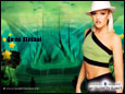 Wallpaper Celebrity Singer_Gwen Stefani